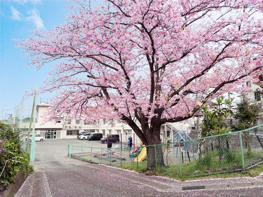 児童養護施設 春光学園